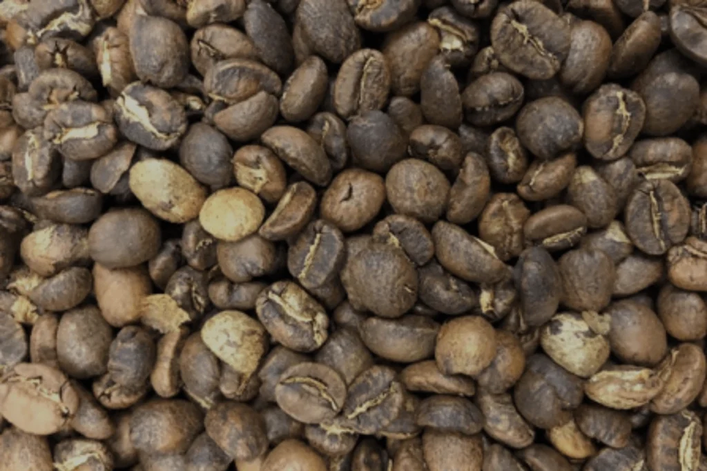 Common coffee roasting defects and how to identify them