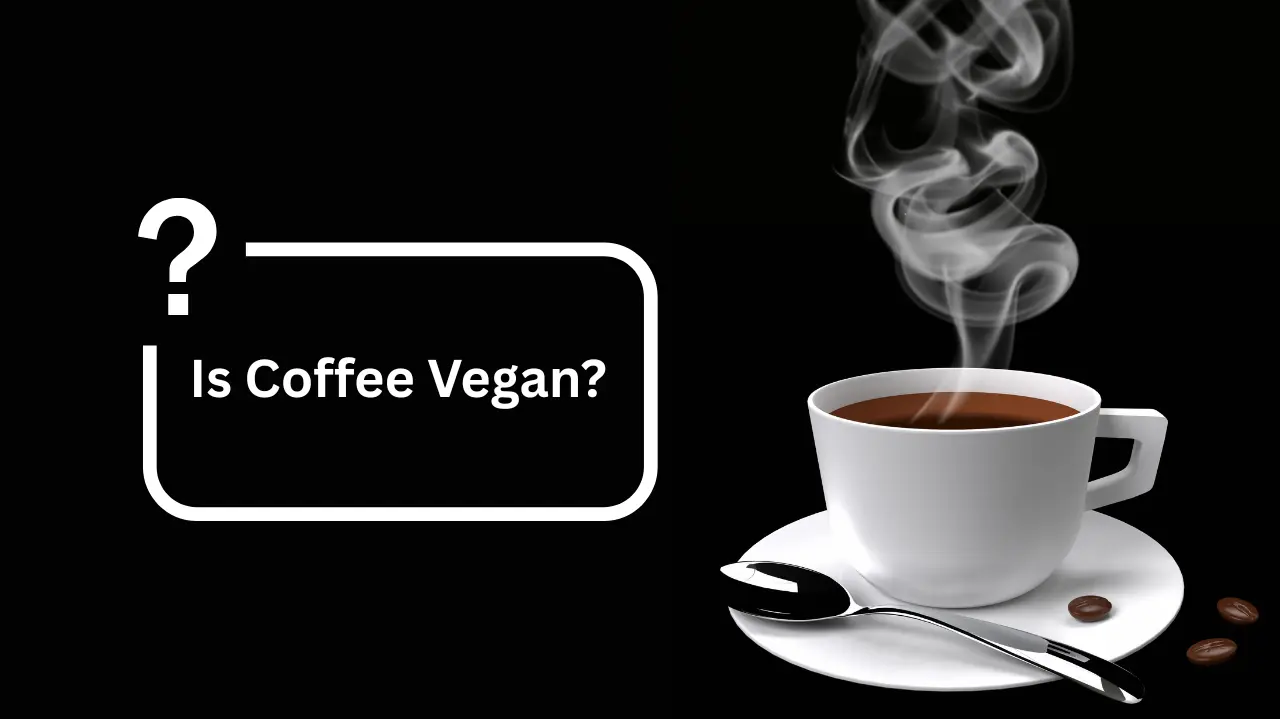 Is Coffee Vegan