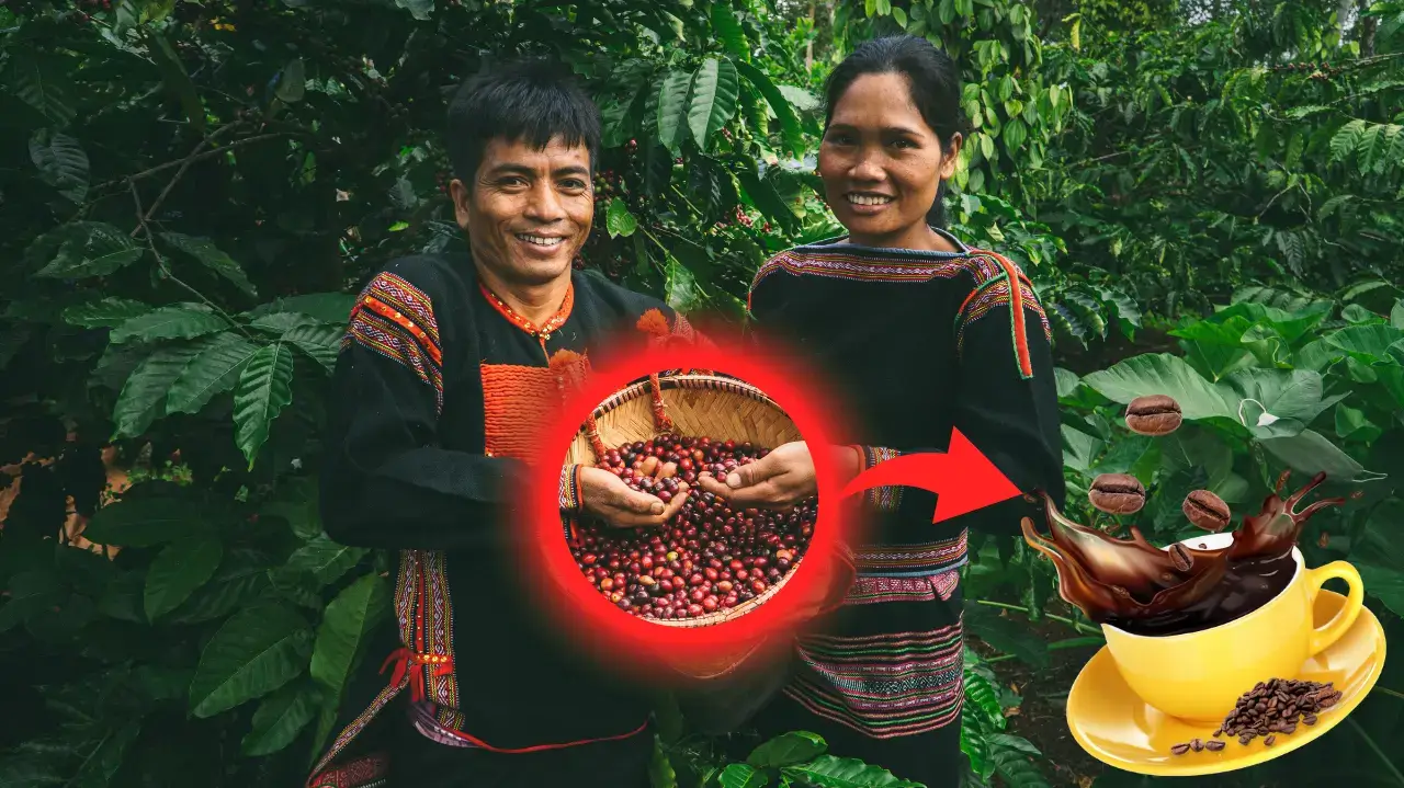 how much caffeine is in Vietnamese coffee